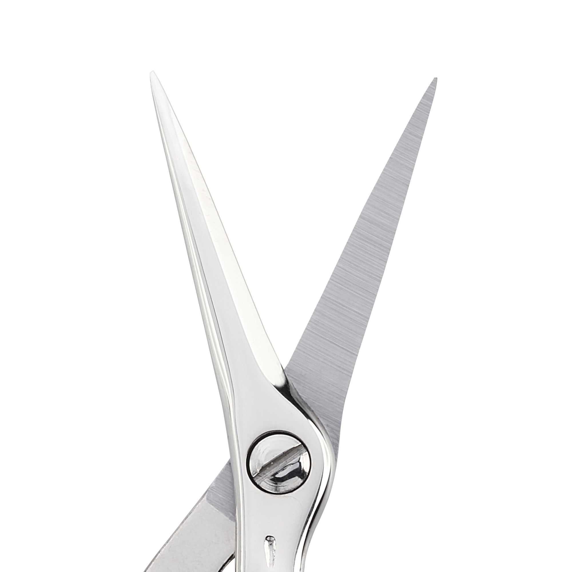 Close up of sharp pointed blades on Stork scissors