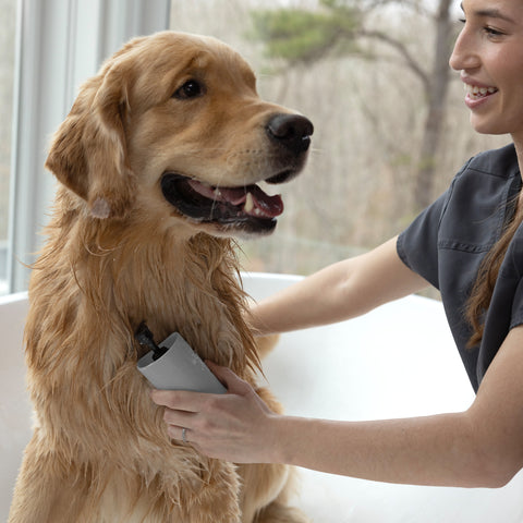 Hand holding 2-In-1 Shampoo Dispensing Bath Brush with bristles brushing dog's coat 