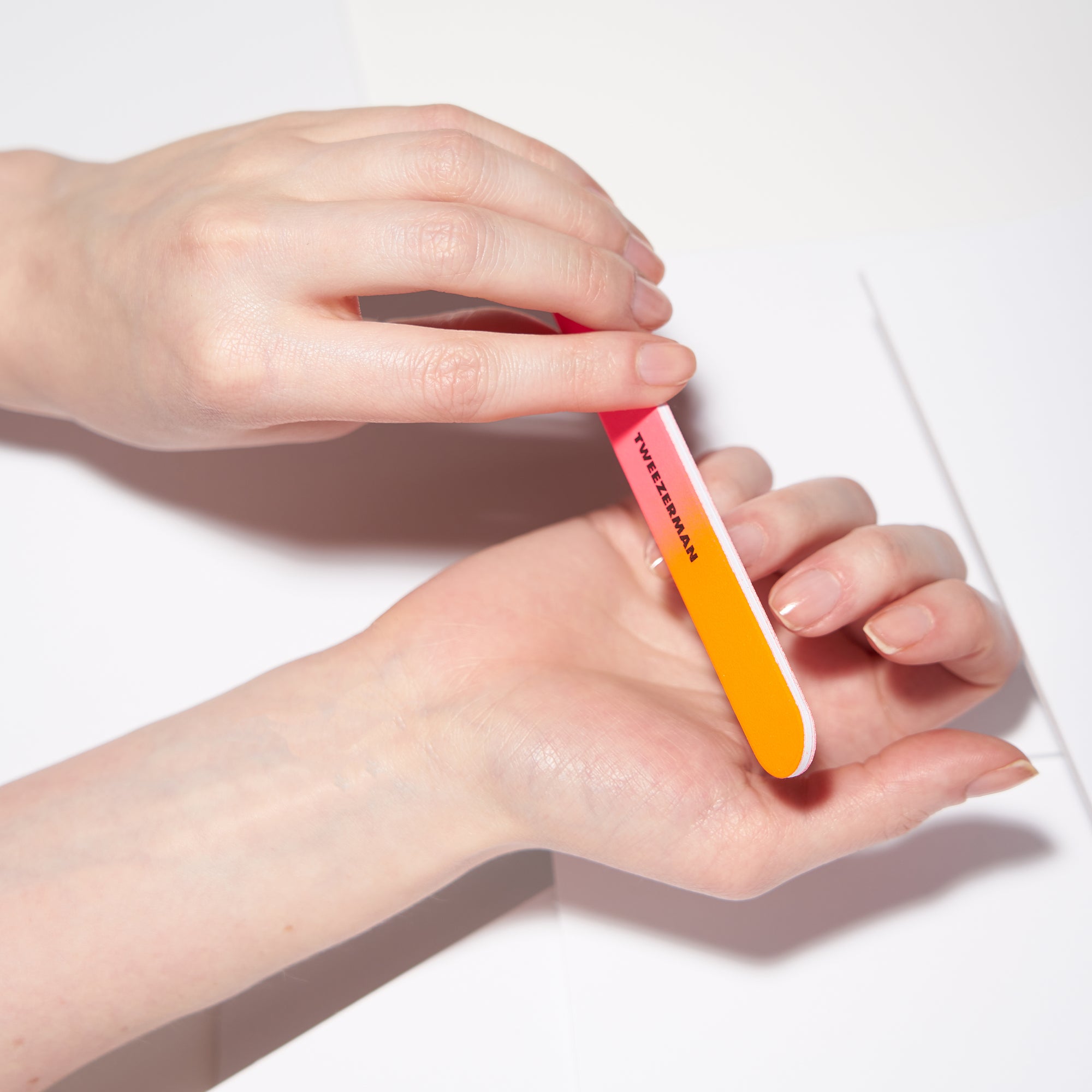 3466-R | Neon Filemates