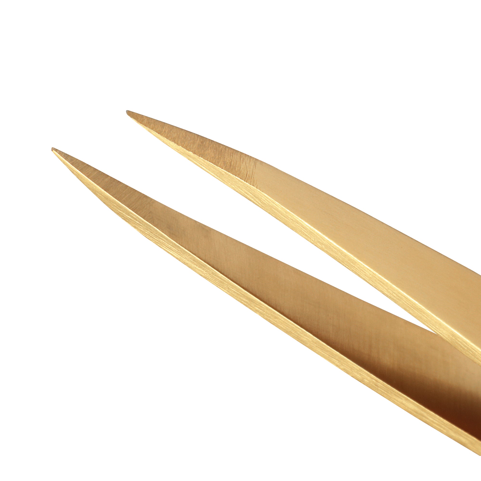 Pointed tips of Ultra Precision Tweezer