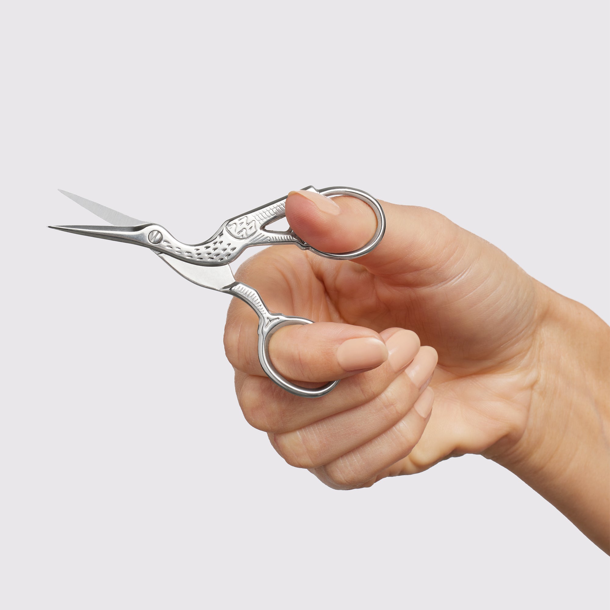 Model holding Stork Scissors