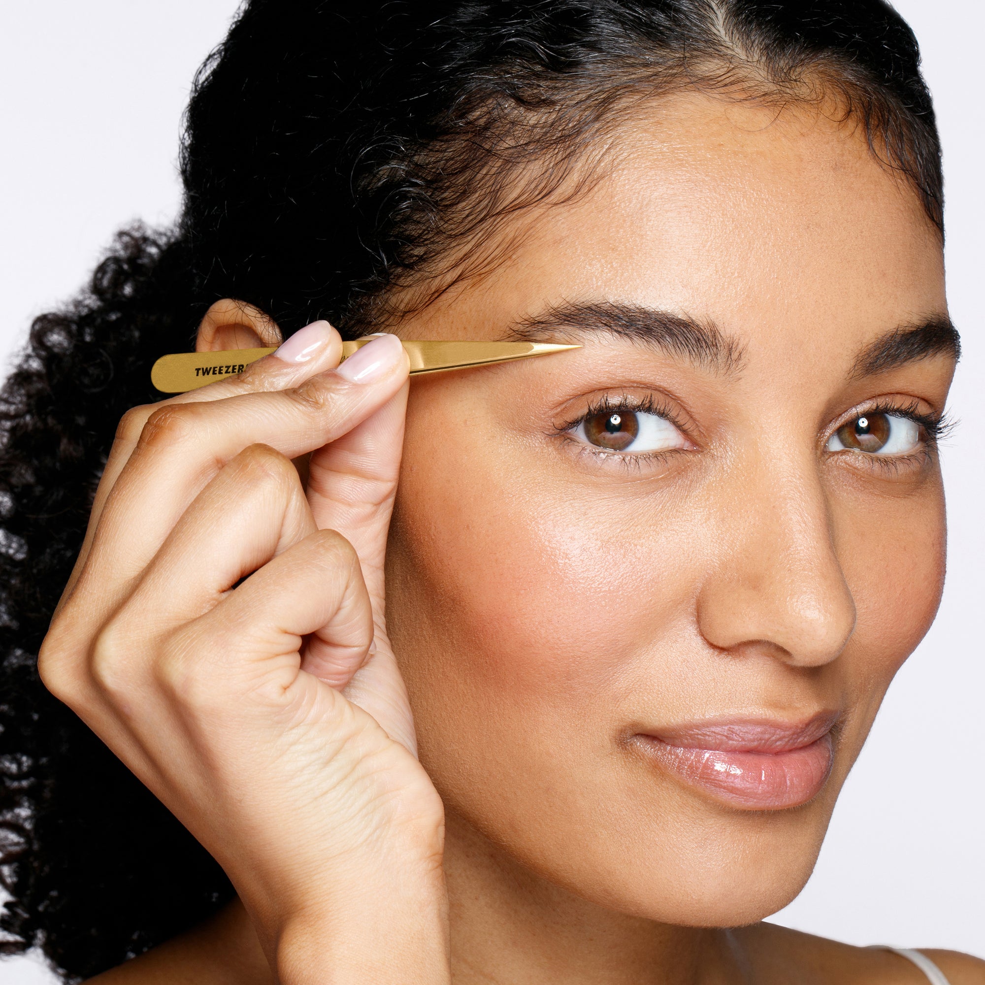 Model using Ultra Precision Point Tweezer